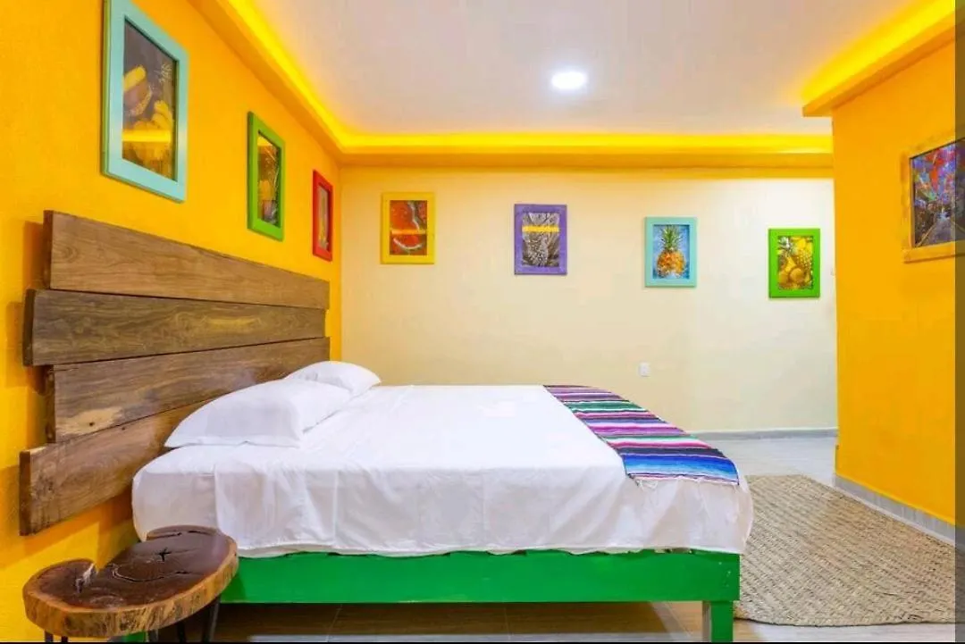 Numa Hotel Boutique Playa del Carmen 0*,  Mexiko