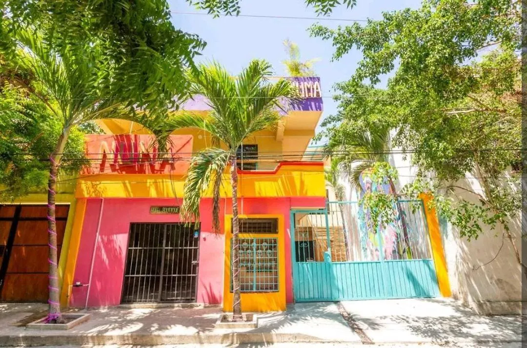 Numa Hotel Boutique Playa del Carmen